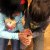 Fotos &raquo; Ringelnattern im Schulzimmer